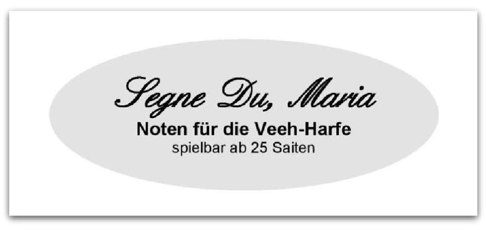 Veeh Harfe  Schnupperkurs 24