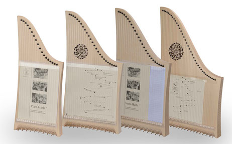 Veeh Harfe  Schnupperkurs 24